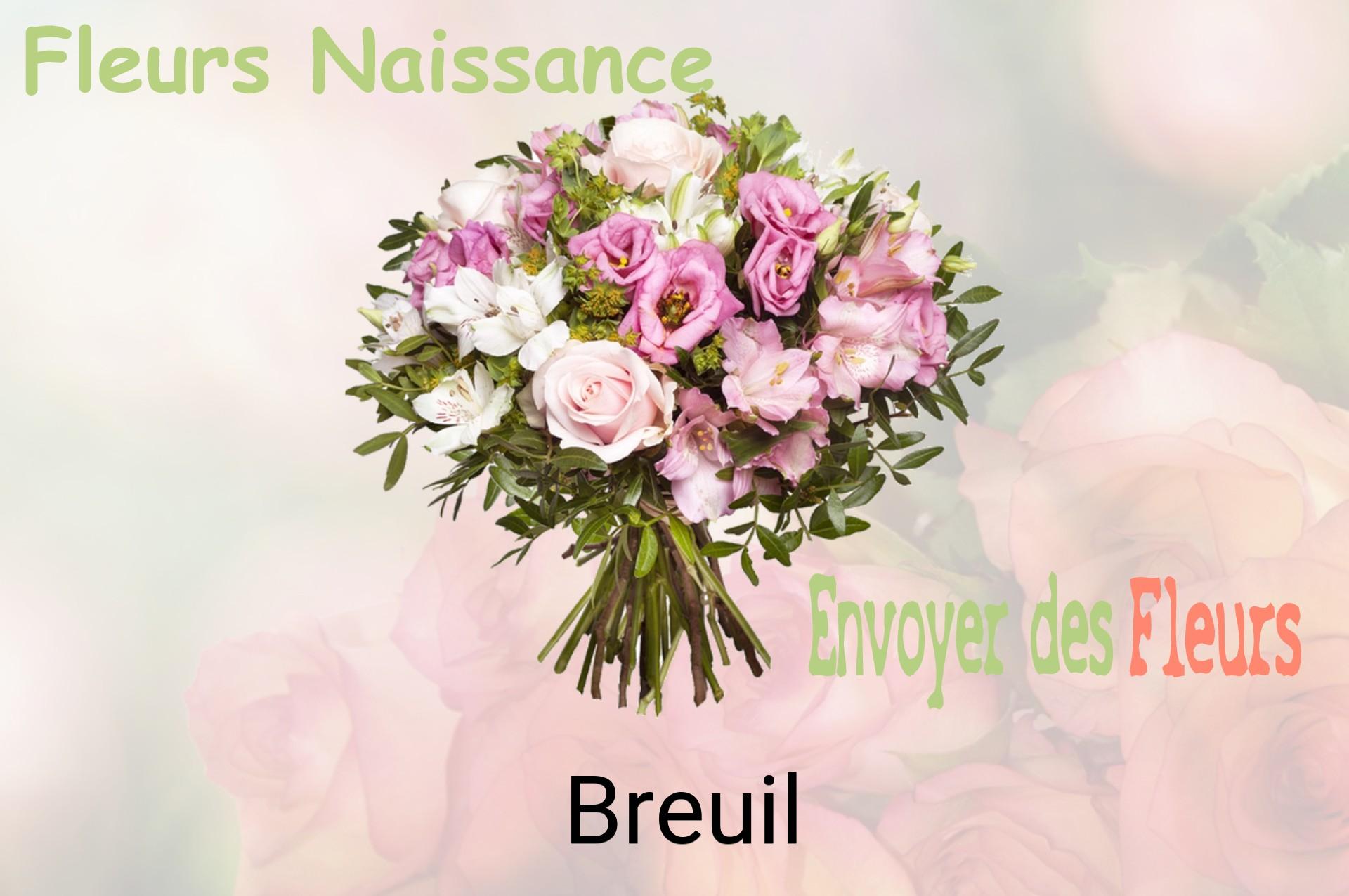 Bouquet de fleurs de naissance livré à Breuil